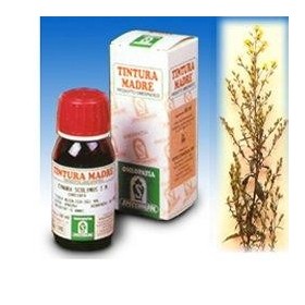 Specchiasol Verga d'Oro 26 Tintura Madre 50 ml