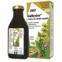 Gallexier Sciroppo Al Carciofo Integratore Digestivo Depurativo 250 ml