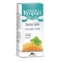Golasept Propoli Spray Gola Adulti Integratore 30 ml