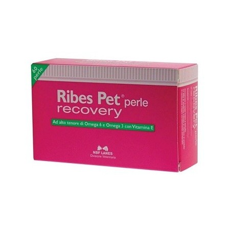 Nbn Lanes Ribes Pet Recovery Integratore Dermatite Cani E Gatti 60 Perle