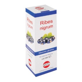 Kos Ribes Nigrum Macerato Glicerico Gocce 100 ml