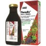 Salus Floradix Ferro 250 Ml