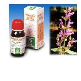 Specchiasol Soluzione Idroalcolica 25 Salvia 50 ml