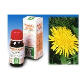 Specchiasol Tarassaco 28 Tintura Madre 50 ml