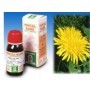 Specchiasol Tarassaco 28 Tintura Madre 50 ml