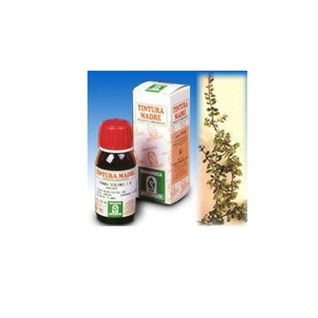 Specchiasol Uva Ursina 30 Tintura Madre 50 ml