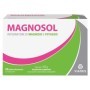 Magnosol Integratore di Magnesio e Potassio 20 Bustine Effervescenti