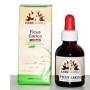 Erbenobili Ficus Carica Fitoblasto Gemmoderivato 50 ml