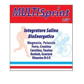 MULTISPRINT LNP 20BUST