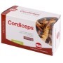 Kos Cordiceps Estratto Secco Integratore 60 Compresse