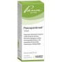 Pascoe Pascopankreat Vital Gocce Omeopatiche 20 ml