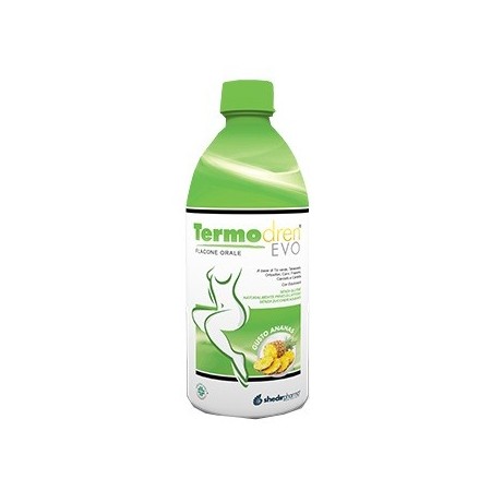 TERMODREN EVO ANANAS 500ML