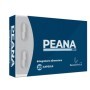 PEANA 300 20CAPSULE
