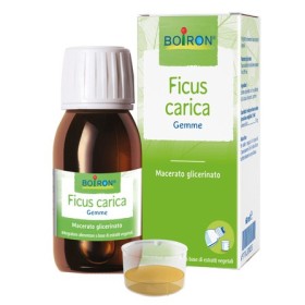 Ficus Carica Integratore 60 ml