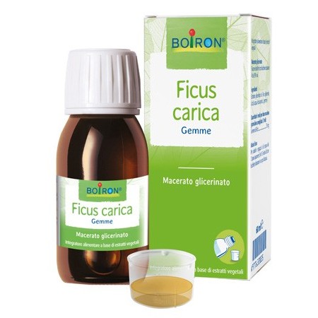 Ficus Carica Integratore 60 ml