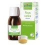 Ficus Carica Integratore 60 ml