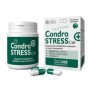 Innovet Condrostress  Cat Integratore Articolare Contro Osteoartrite Gatti 30 Capsule