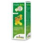 Boiron Propolis Spray Gola Adulto 15 ml