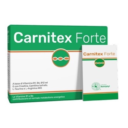 CARNITEX FORTE 14BUST