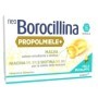 Neoborocillina Propolmiele  Miele E Eucalipto 16 Pastiglie