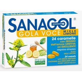 Sanagol Gola Voce Gola Voce Erisimo Caramelle Balsamiche Miele E Limone 24 Pezzi
