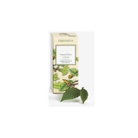 FICUS CARICA GEMME GD BIO