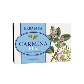 CARMINA PLUS 24CPR 19,2G