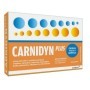 Carnidyn Plus Integratore Energetico Con Carnitina 20 Bustine