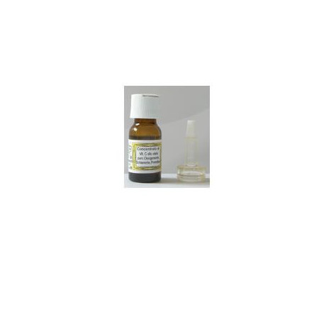 SIDEA C INTEGRALE VIT C 10ML