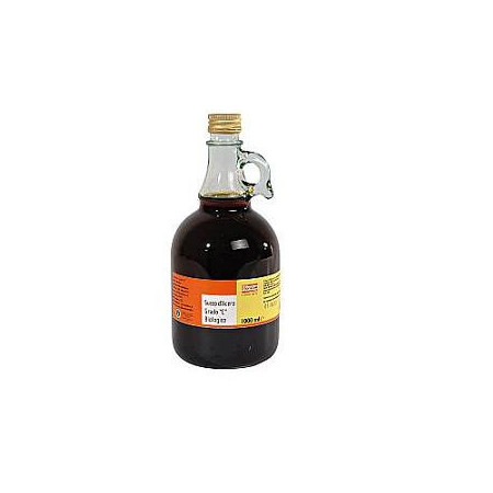 Fior Di Loto Succo d'Acero Bio Grado C Dolcificante 250 ml