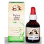 Erbenobili Fitoblasto Cedrus Libani 50 ml