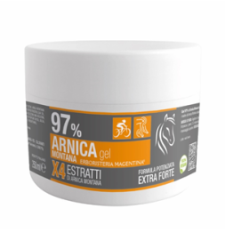 ARNICA 97% GEL 250ML