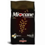 MIOCANE JUNIOR 0,1 CARNI BI3KG
