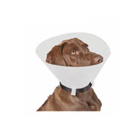 Dlm Collare Elisabetta Veterinario S 12.5 cm