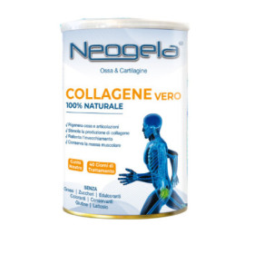 NEOGELA POLVERE 400G