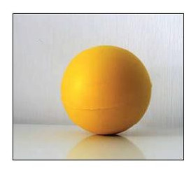 FOR.ME.SA Pallina Riabilitativa Poliuretano