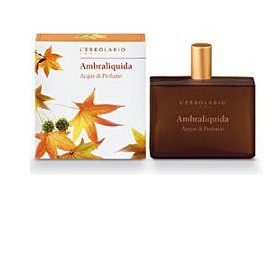 AMBRALIQUIDA ACQUA PROF 100ML
