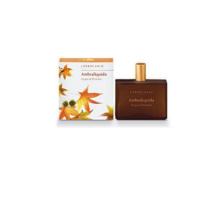 AMBRALIQUIDA ACQUA PROF 100ML