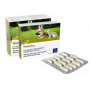 ARTOSALUS ORME NAT 60CPR