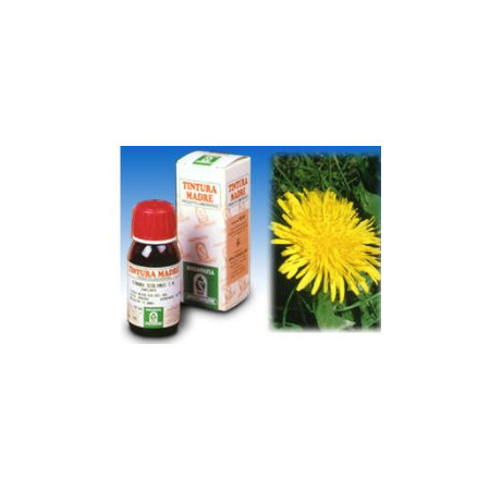 Specchiasol Tarassaco 28 Tintura Madre 50 ml