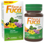 FAVE DI FUCA CLASSICO 90CPR