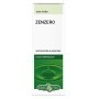 Erba Vita Olio Essenziale Zenzero Integratore Digestivo 10 ml