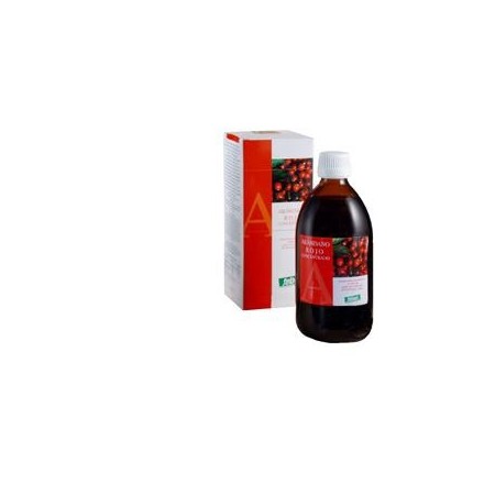 Santiveri Mirtillo Rosso Succo Concentrato 490 ml